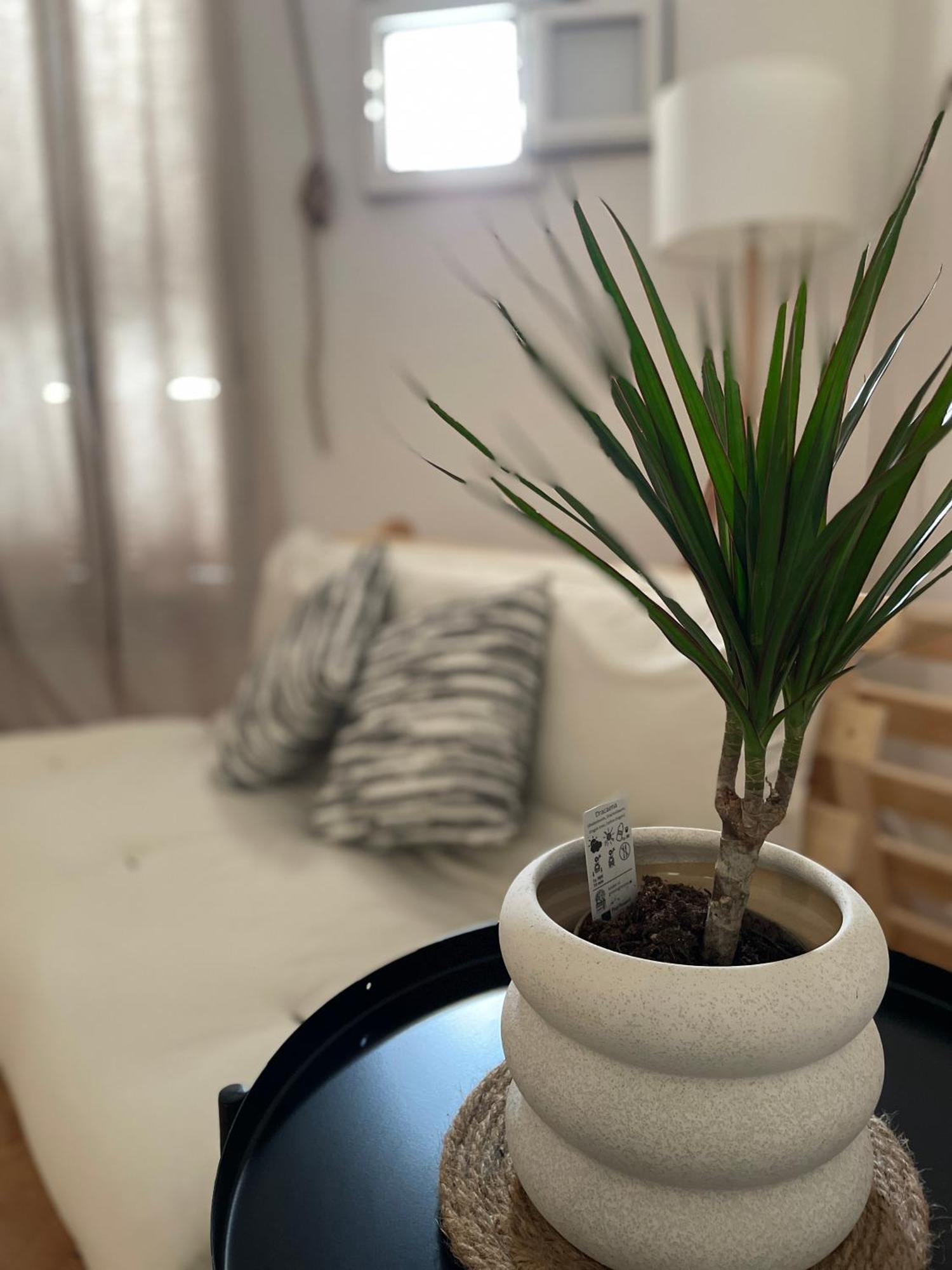 Casa Mia Villa Mola di Bari Eksteriør bilde